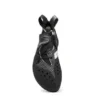 Blackbird (New)
